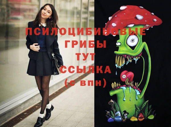 Альфа ПВП Богданович